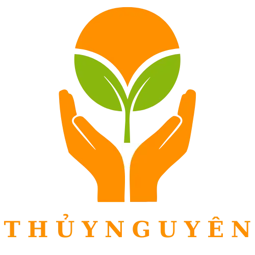 Hút bể phốt Thủy Nguyên